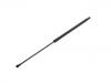 Gas Spring:8731.N8