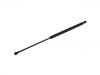 Gasdruckfeder Gas Spring:51 24 8 399 296