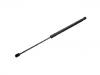 Gasdruckfeder Gas Spring:1 523 356