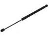 Gasdruckfeder Gas Spring:90 45 200 04R