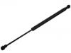 Gasdruckfeder Gas Spring:9199 932