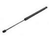 Gasdruckfeder Gas Spring:5N0 827 550