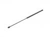 Gasdruckfeder Gas Spring:8731.E3