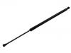 Gas Spring:981 512 551 05