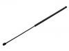 Gas Spring:1925 981