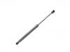 Gasdruckfeder Gas Spring:1ST 827 550 B