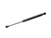 Gasdruckfeder Gas Spring:12831543