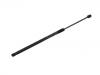 Gasdruckfeder Gas Spring:BBP3-56-930A