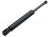 Gasdruckfeder Gas Spring, Bonnet:163 880 00 29