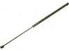 Gasdruckfeder Gas Spring:8731.93