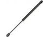 Gasdruckfeder Gas Spring:82 00 119 497