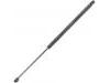 Gasdruckfeder Gas Spring:51736743