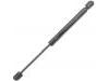 Gasdruckfeder Gas Spring:96 557 530