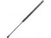 Gasdruckfeder Gas Spring:68960-02030