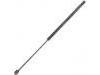 Gasdruckfeder Gas Spring:MR101555