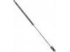 Gasdruckfeder Gas Spring:81860-62B20