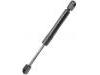 Gasdruckfeder Gas Spring:NF80-56-930B