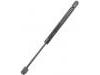 Gas Spring:84430-2F000