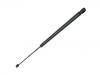 Gasdruckfeder Gas Spring:215 880 00 29