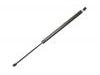 Gasdruckfeder Gas Spring:701 829 331 T