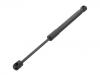 Gas Spring:8F0 827 550 A