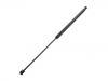 Gasdruckfeder Gas Spring:1 537 538