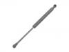 Gasdruckfeder Gas Spring:605 677 94